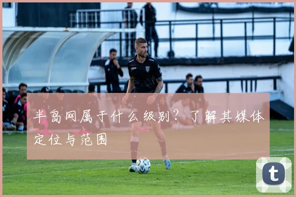 半岛网属于什么级别?了解其媒体定位与范围