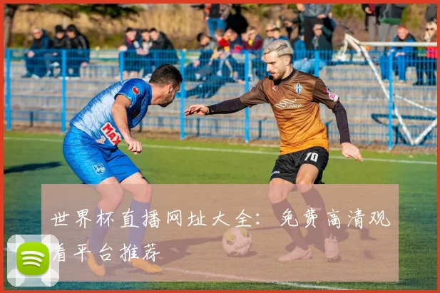 世界杯直播网址大全：免费高清观看平台推荐