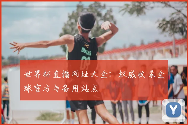 世界杯直播网址大全：权威收录全球官方与备用站点