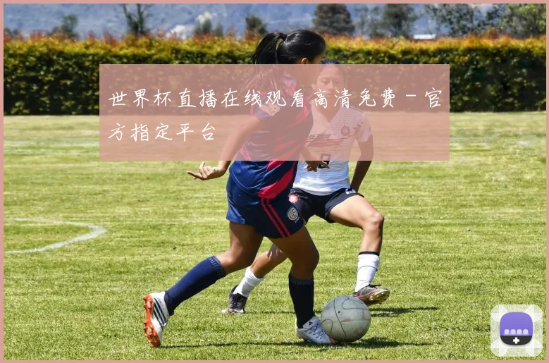 世界杯直播在线观看高清免费 - 官方指定平台